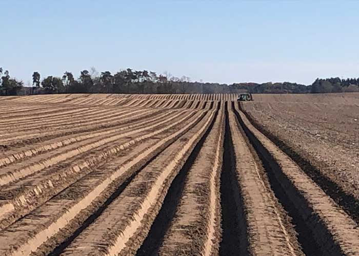 Soil Tilth and Texture