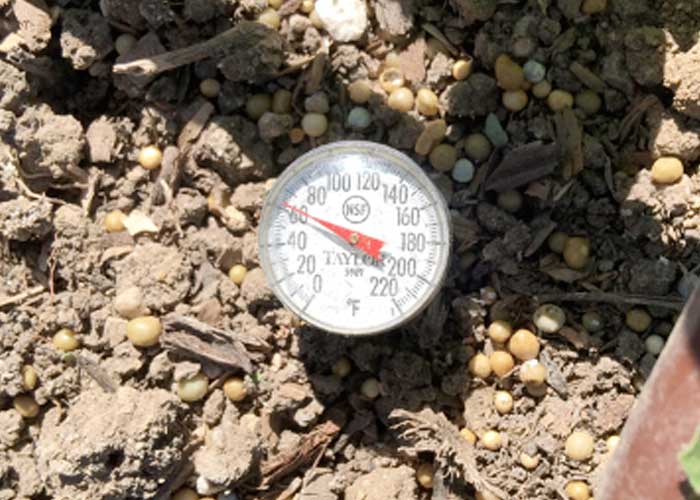 soil temperature